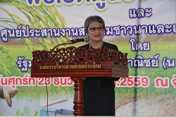 1196.jpg