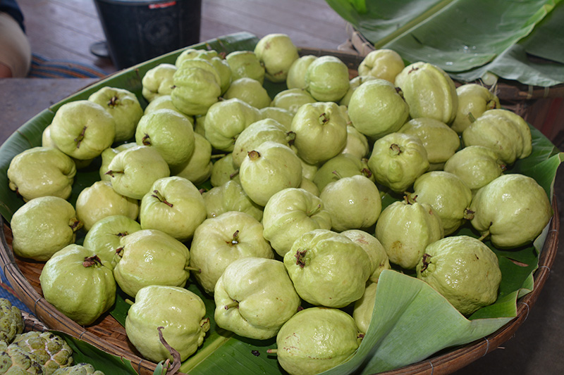 45964_แผงค้า ฝรั่ง.JPG