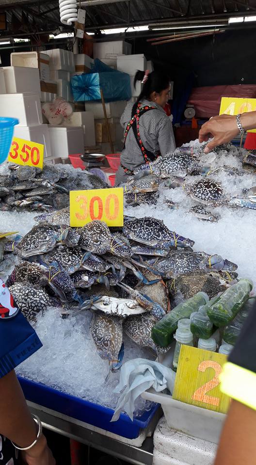 22687_อาหารทะเล.jpg