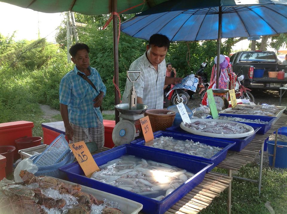 44900_แผงค้า อาหารสด.jpg
