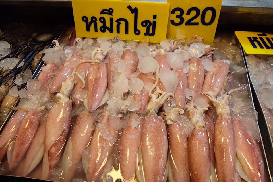 45148_แผงค้า อาหารทะเล ปลาหมึก.jpg