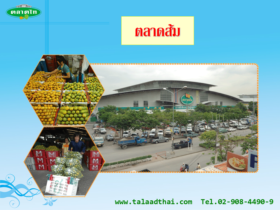 45116_ตลาดส้ม.PNG