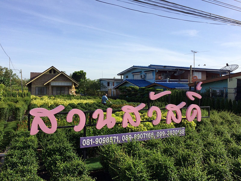 46537_สวนดอกไม้.jpg