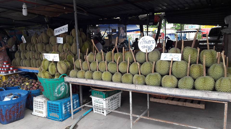 21898_แผงค้า ผลไม้ ทุเรียน.jpg