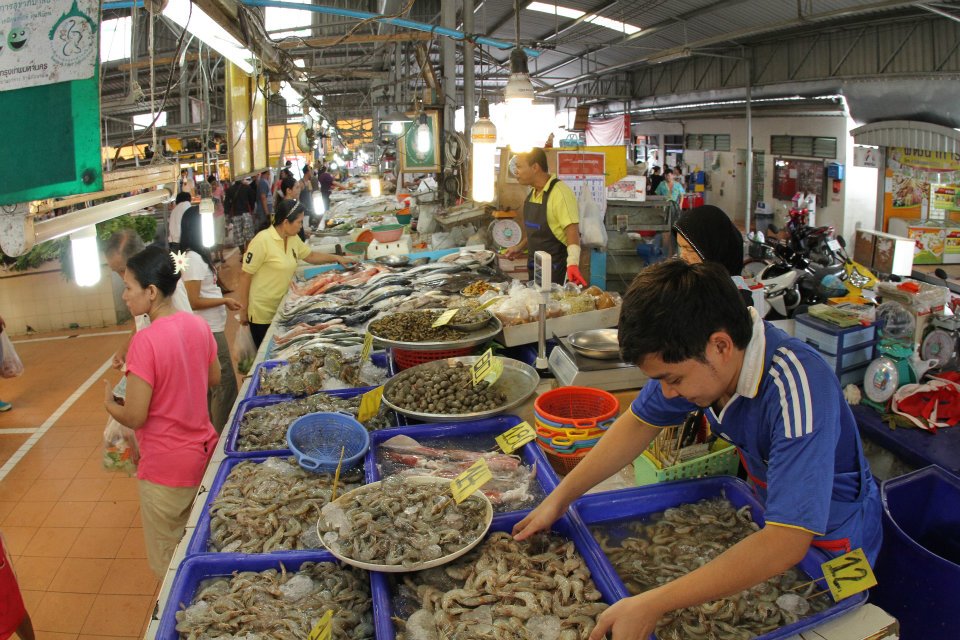 21420_สินค้า 1.jpg