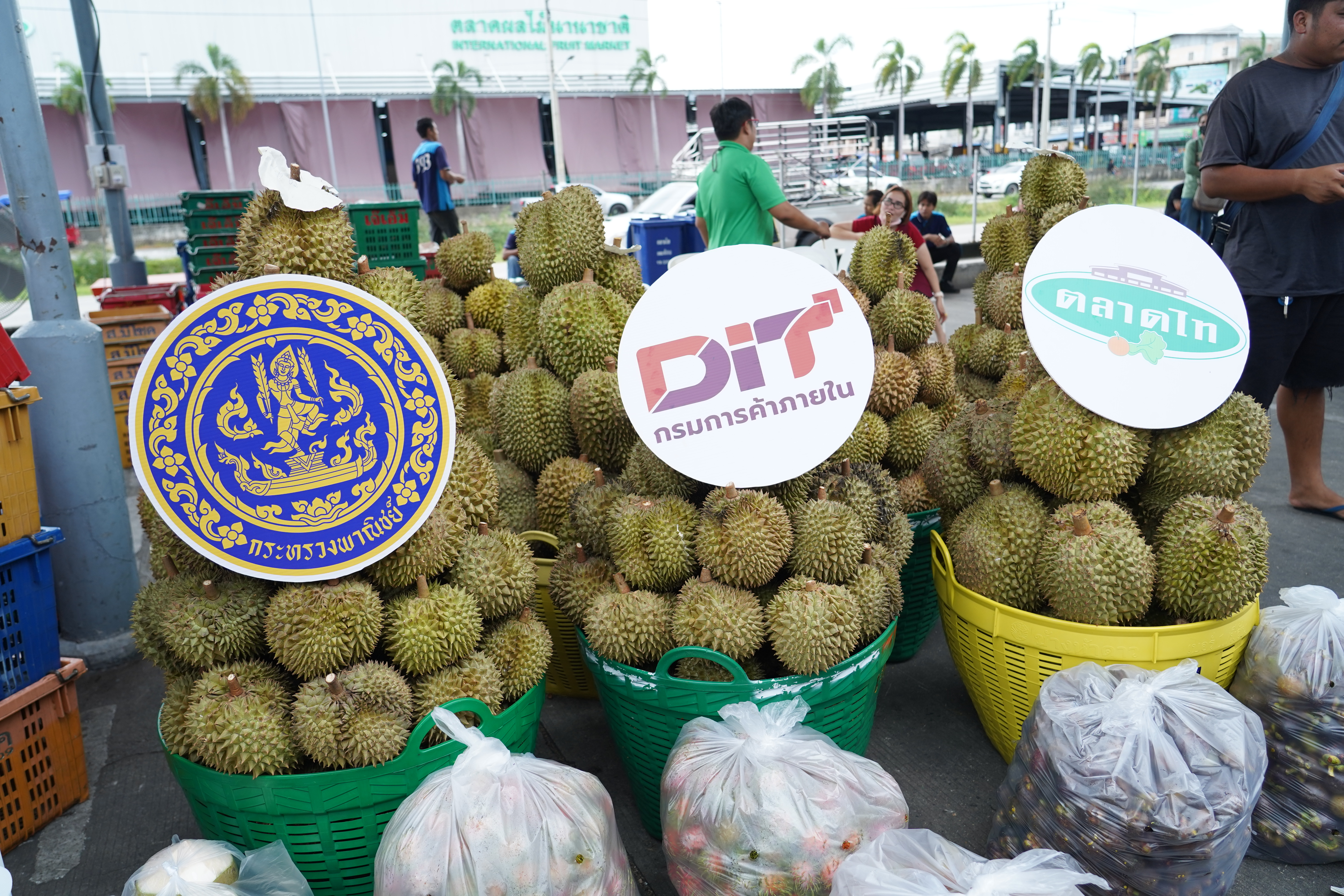 ข่าวเลขที่ 202/2569 พาณิชย์ผนึก ตลาดกลาง เร่งกระจายผลไม้ใต้ รับผลผลิตทยอยออกสู่ตลาด จับมือ Modern Trade เพิ่มช่องทางจำหน่าย ตั้งเป้าดูดซับผลผลิตไม่น้อยกว่า 10,000 ตัน (19 สิงหาคม 2569)