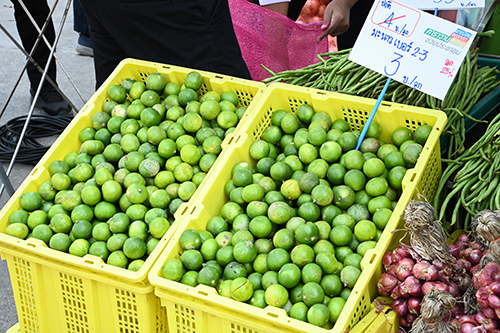 พาณิชย์เชื่อมโยงตลาด ขายมะนาวถูก ผ่านคาราวานพาณิชย์