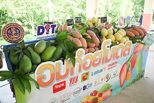 อมก๋อยโมเดลเชียงใหม่