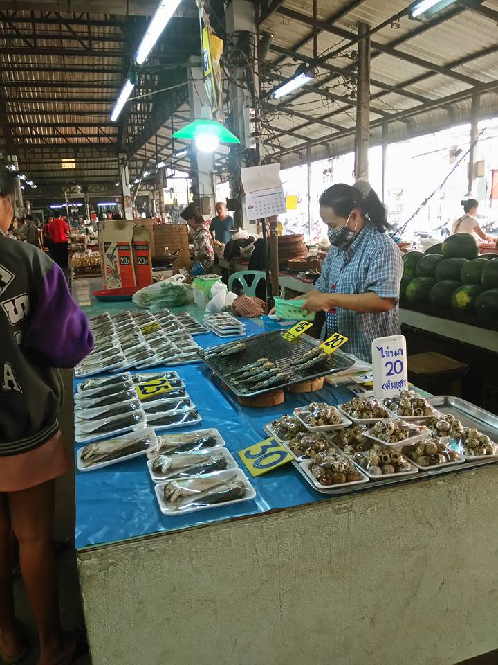 23155_แผงค้า อาหารปรุงสำเร็จ.jpg