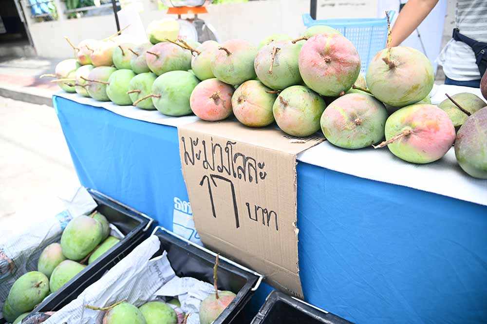 ตรวจติดตามโมบายพาณิชย์