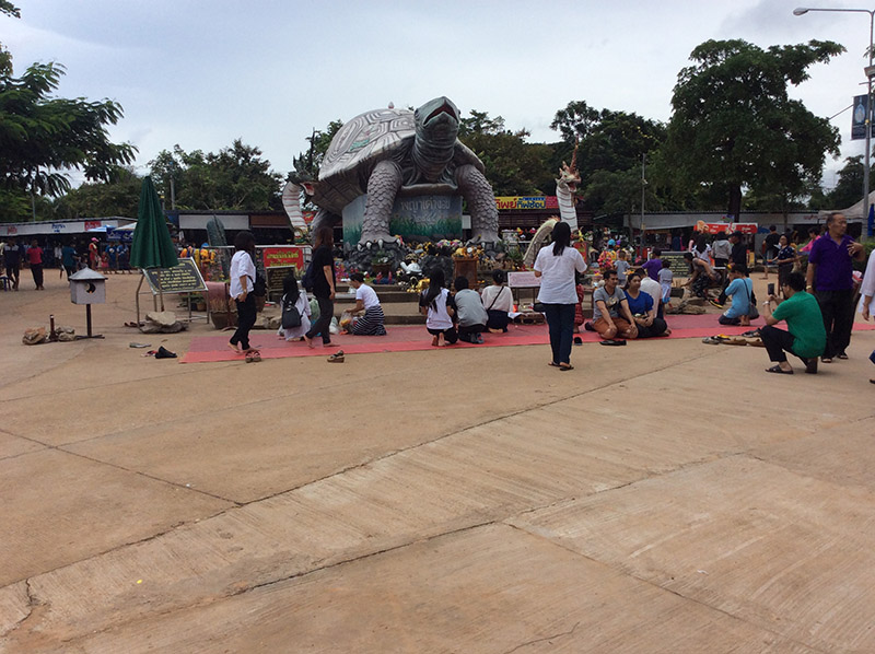 46202_พญาเต่า.JPG