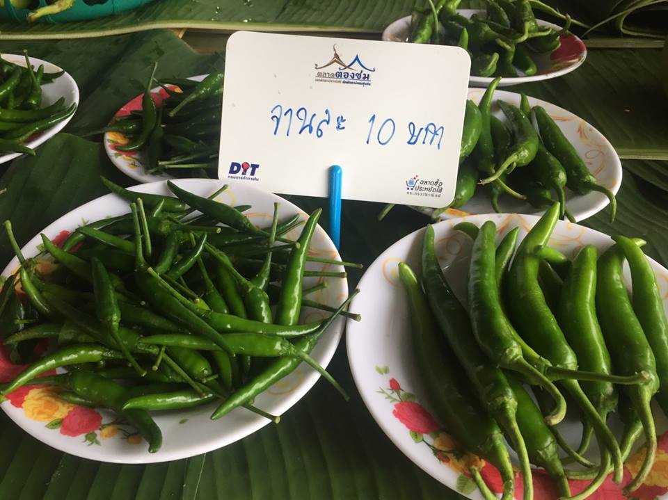 67876_แผงค้าผัก.jpg