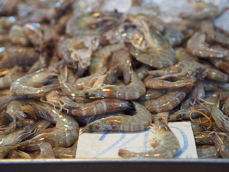 45736_กุ้งสด.jpg