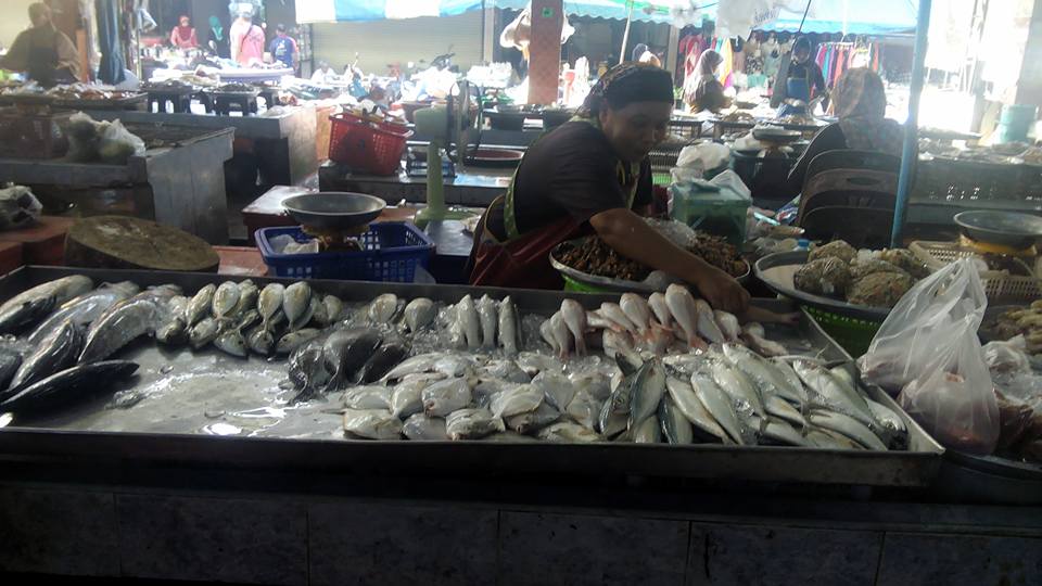 21855_แผง ปลา.jpg
