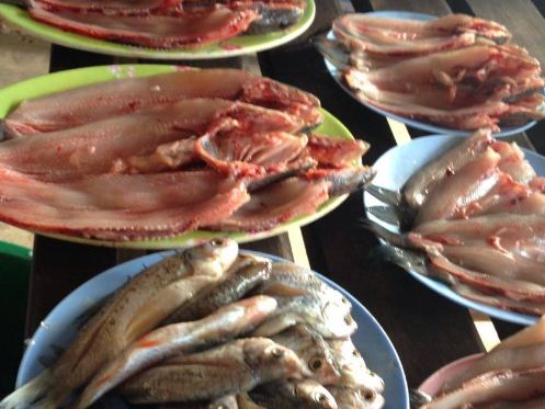 44753_ร้านขายปลาสด.JPG