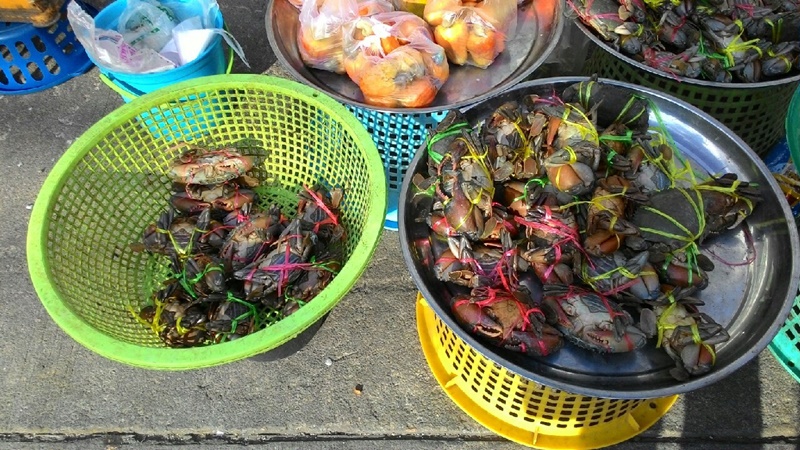 11031_สินค้า.jpg