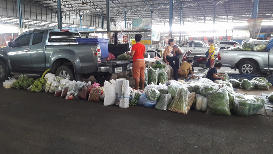 22388_ขายส่ง.jpg