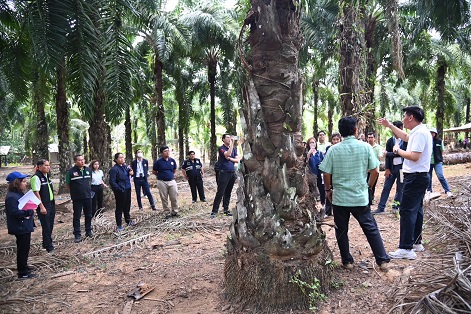 กรมการค้าภายใน ติดตามสถานการณ์ปาล์มน้ำมัน