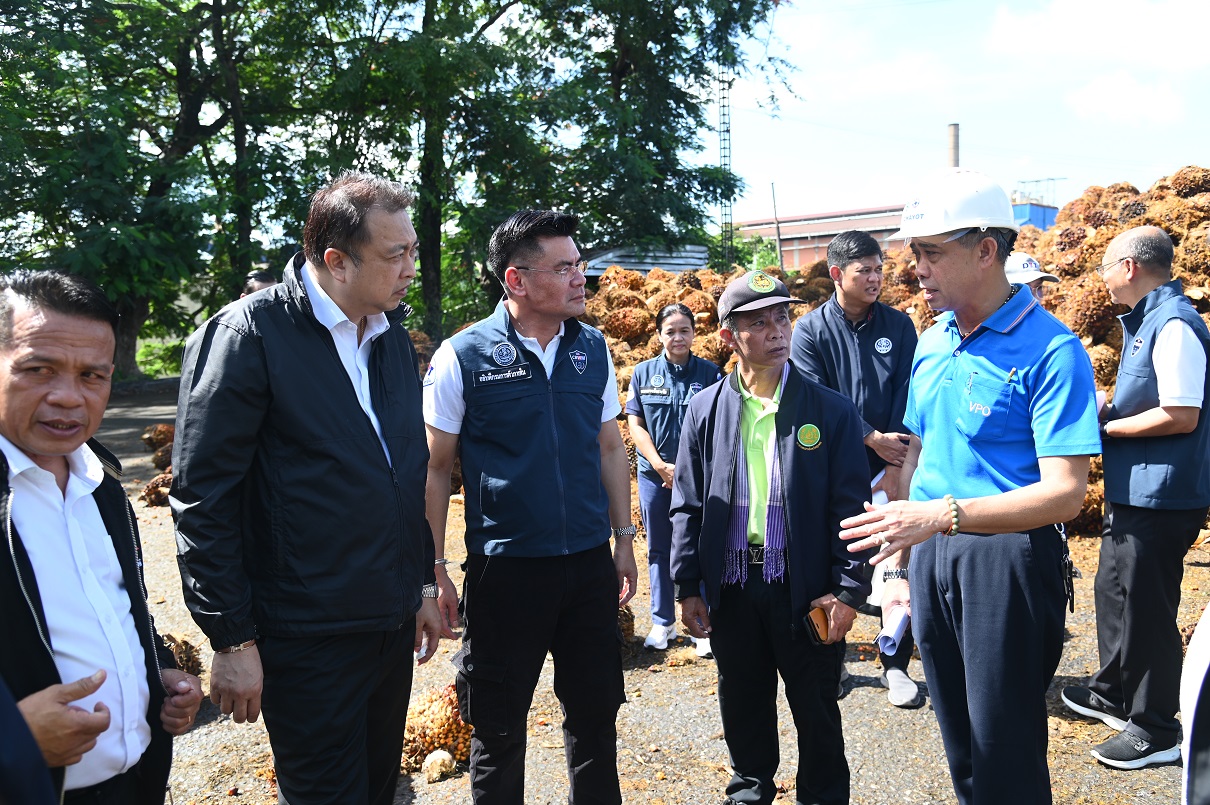 พาณิชย์ ลงพื้นติดตามสถานการณ์ด้านราคาและปริมาณผลปาล์มน้ำมันและน้ำมันปาล์มในพื้นที่ภาคใต้