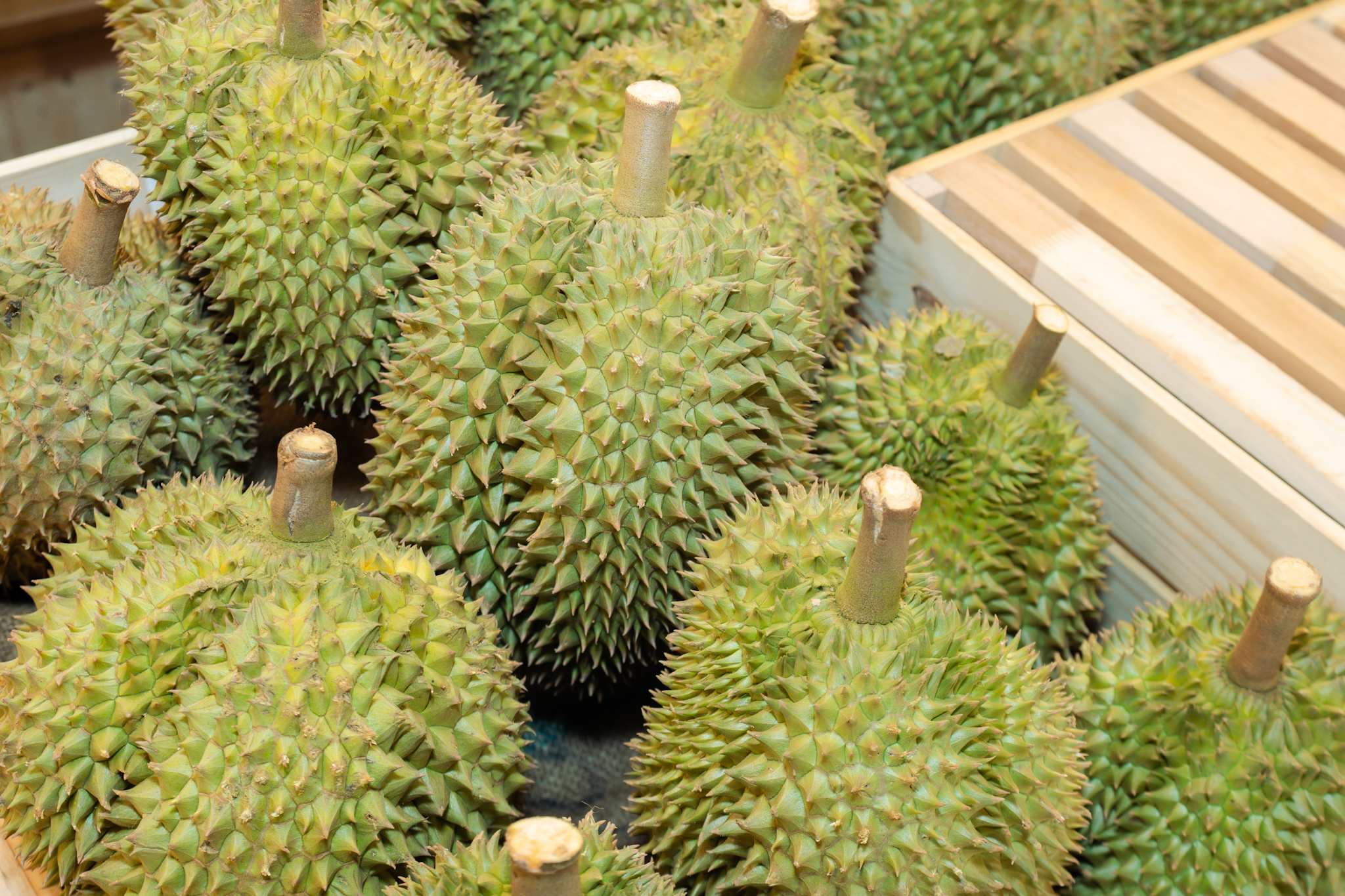DIT จัดงาน "Farm Outlet Market 2026"