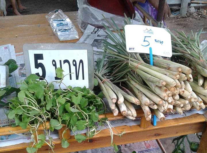 11410_สินค้าในตลาด 8.jpg