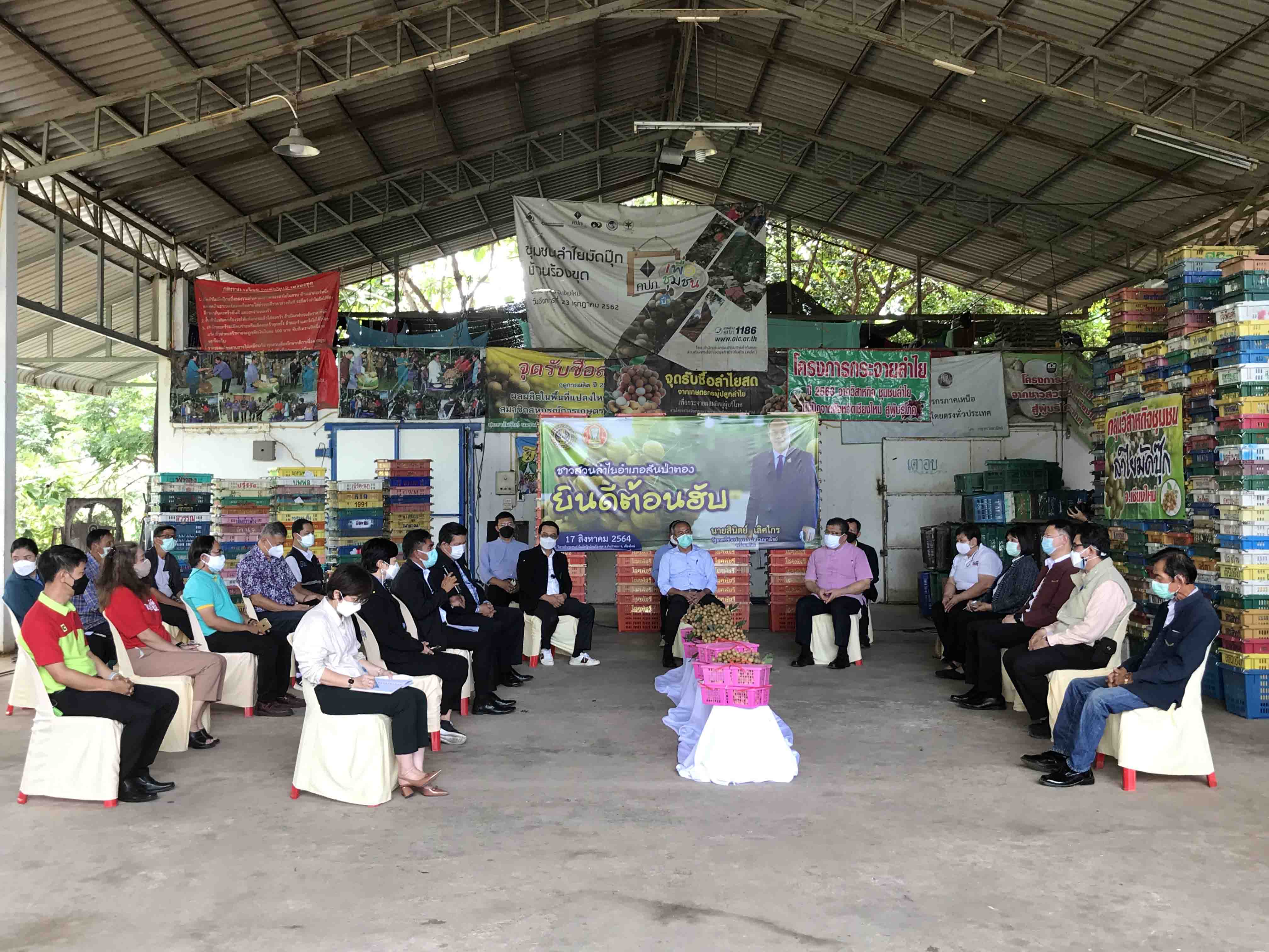 พาณิชย์ลงพื้นที่ลำพูน ช่วยเกษตรกรผู้ปลูกลำไย