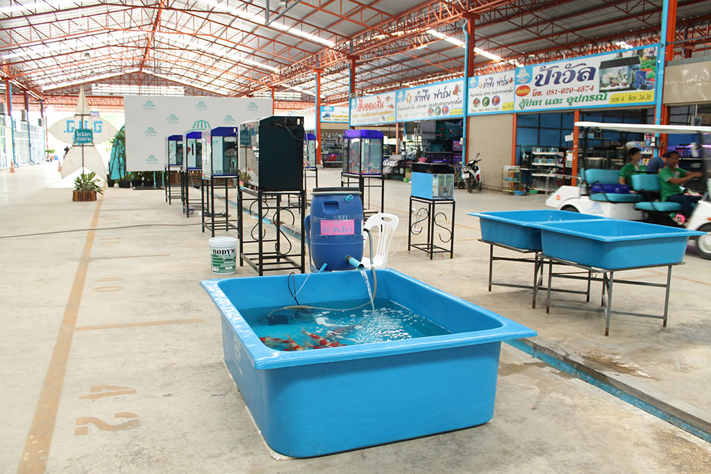 22153_ที่เพาะเลี้ยง.JPG