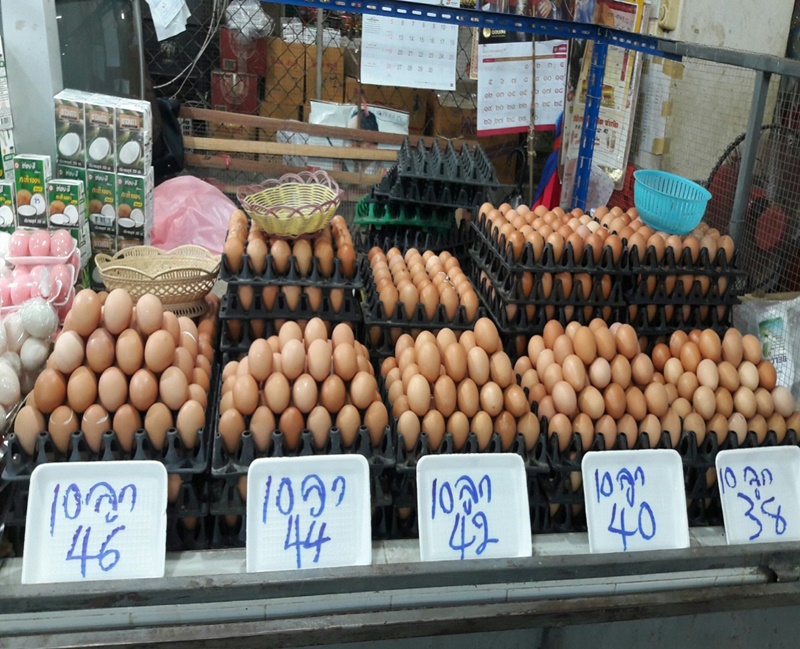 21355_ร้านจำหน่ายไข่ไก่.jpg