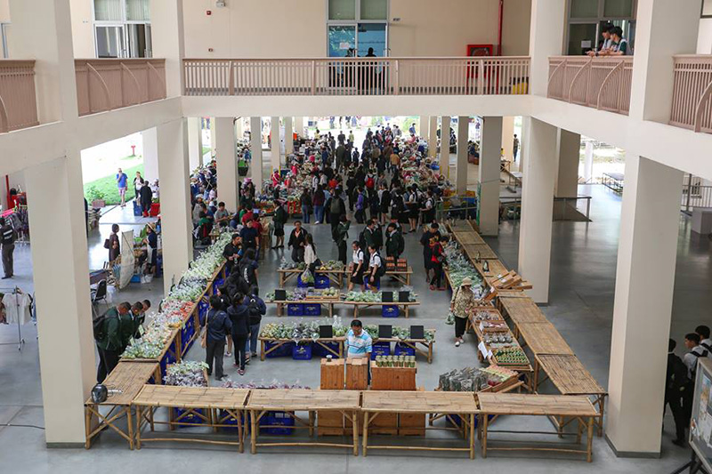 57148_1.jpg