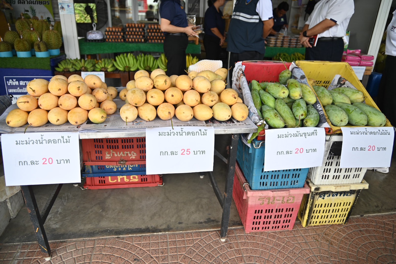 DIT ลงพื้นที่ตรวจเยี่ยม จุดจำหน่ายมะม่วงน้ำดอกไม้