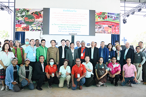 Organic World Thailand