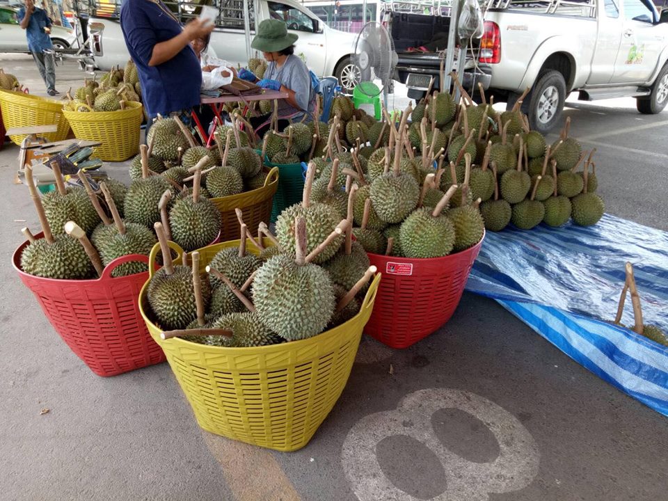 67899_สินค้าในตลาด.jpg