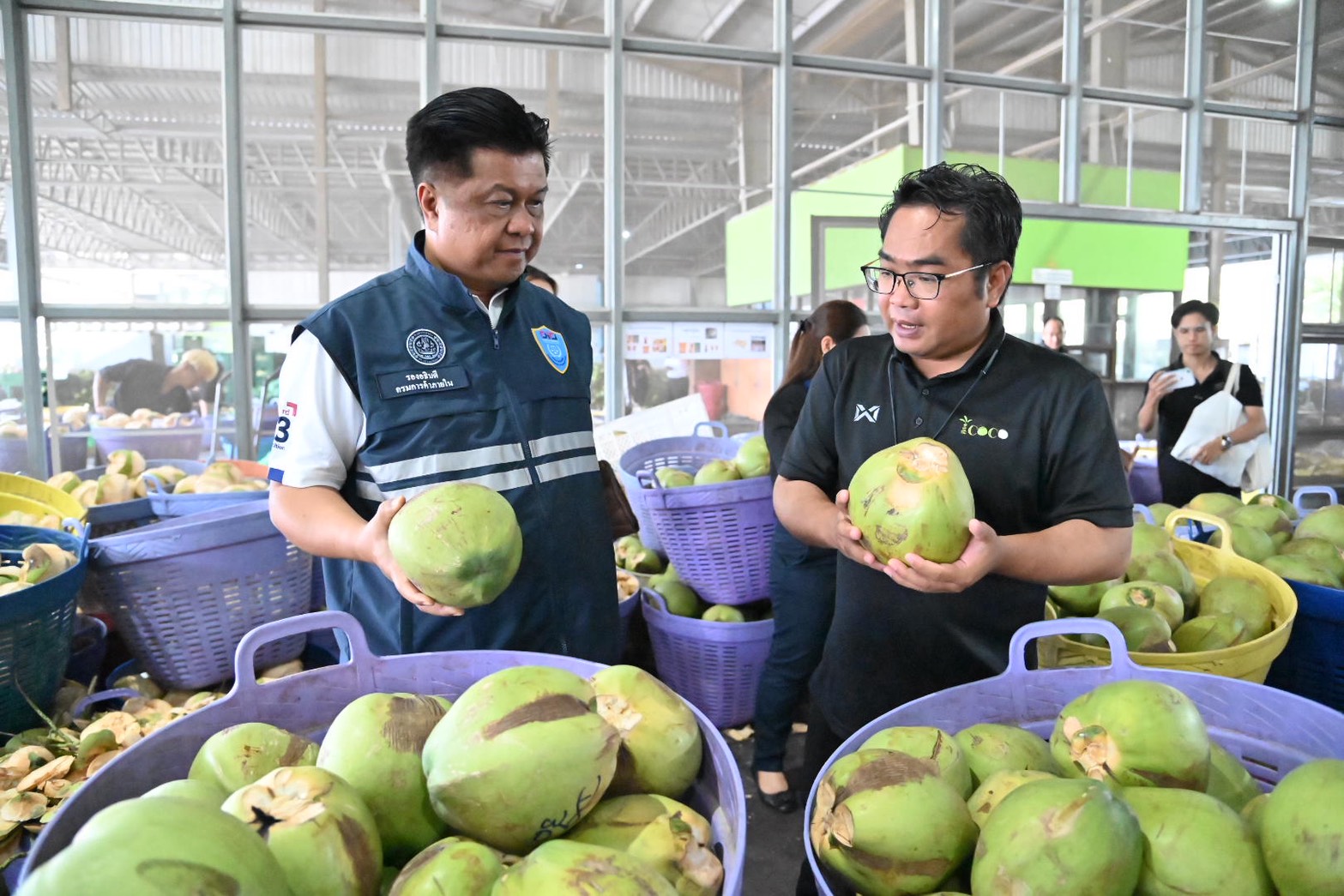 DIT ลงพื้นที่จังหวัดราชบุรี ติดตามสถานการณ์รับซื้อและจำหน่ายมะพร้าวน้ำหอม 