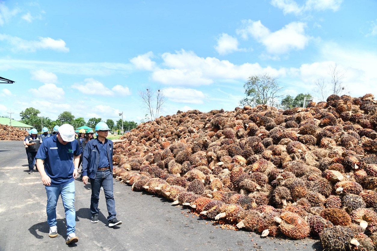 พาณิชย์เข้ม ตรวจสอบการรับซื้อโรงงานสกัดปาล์มน้ำมัน เพื่อสร้างความเป็นธรรมแก่เกษตรกร