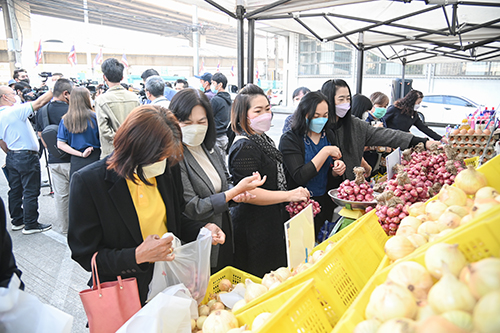 พาณิชย์ติดตามการจำหน่ายพืชสามหัว