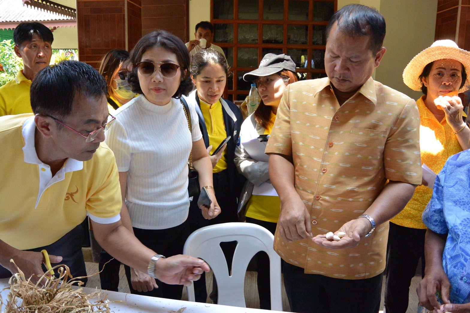 กรมการค้าภายในลงพื้นที่แปลงเพาะปลูกกระเทียม จ.เชียงใหม่ และเชื่อมโยงการรับซื้อกระเทียม ภาคเหนือ
