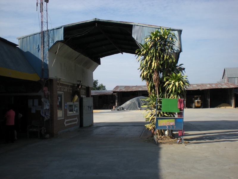 374_เครื่องชั่ง.jpg