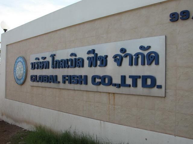 tqLRUcYjXMkb262.jpg (1)