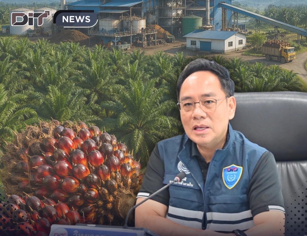 ข่าวเลขที่ 115/2569 ค้าภายใน บริหารปาล์มทั้งระบบ ย้ำส่งออกตามกรอบต่อเนื่อง รักษาสมดุล–ดูแลราคาเกษตรกร (17 เมษายน 2569)
