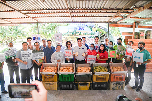 กรมการค้าภายในนำผู้ประกอบการ รับซื้อมะม่วงกว่า 16,000 ตัน ภายใต้อมก๋อยโมเดล