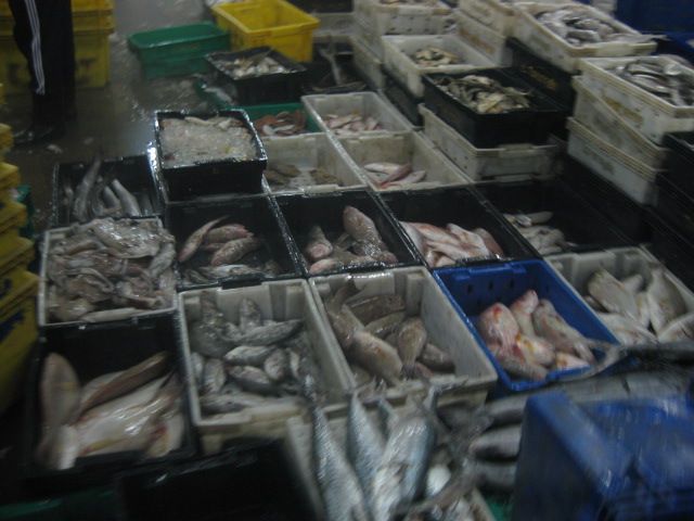 22071_คัดแยกอาหารทะเล.jpg