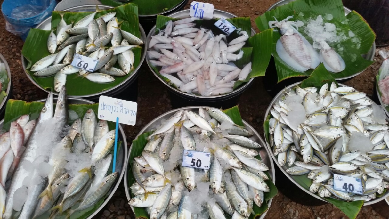 578_อาหารทะเล.jpg