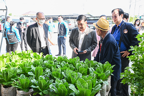 Organic World Thailand