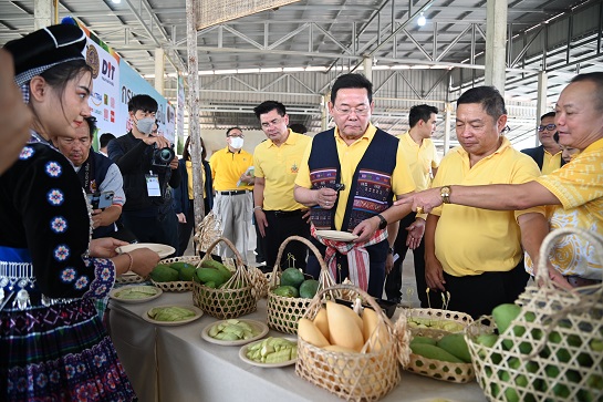 พาณิชย์จับมือเอกชน เชื่อมโยงรับซื้อมะม่วง@เชียงราย