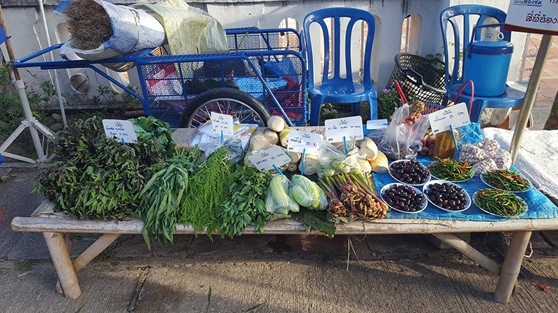 46055_ร้านขายผัก.jpg