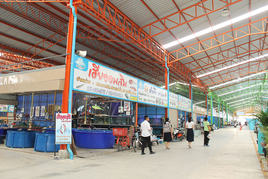 22151_อาคารปลาสวยงาม.JPG