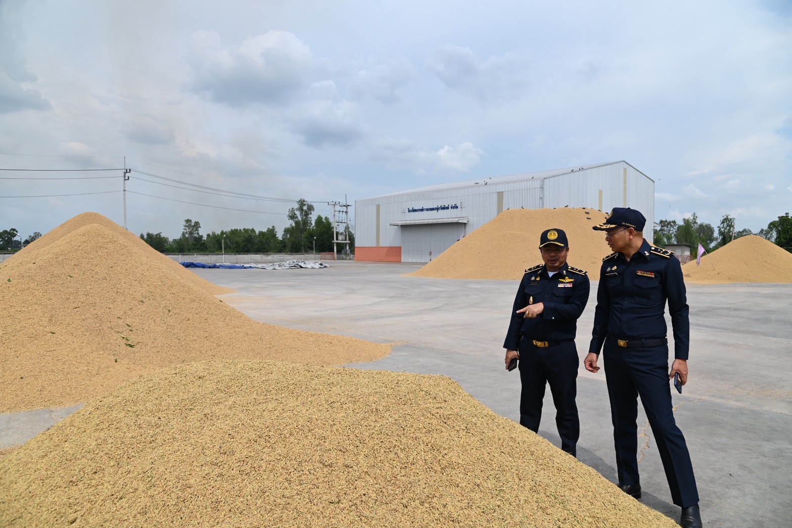 พาณิชย์ ปูพรมสายตรวจ เช็กตลาดรับซื้อข้าวเปลือก ป้องกันพ่อค้าเอาเปรียบชาวนา