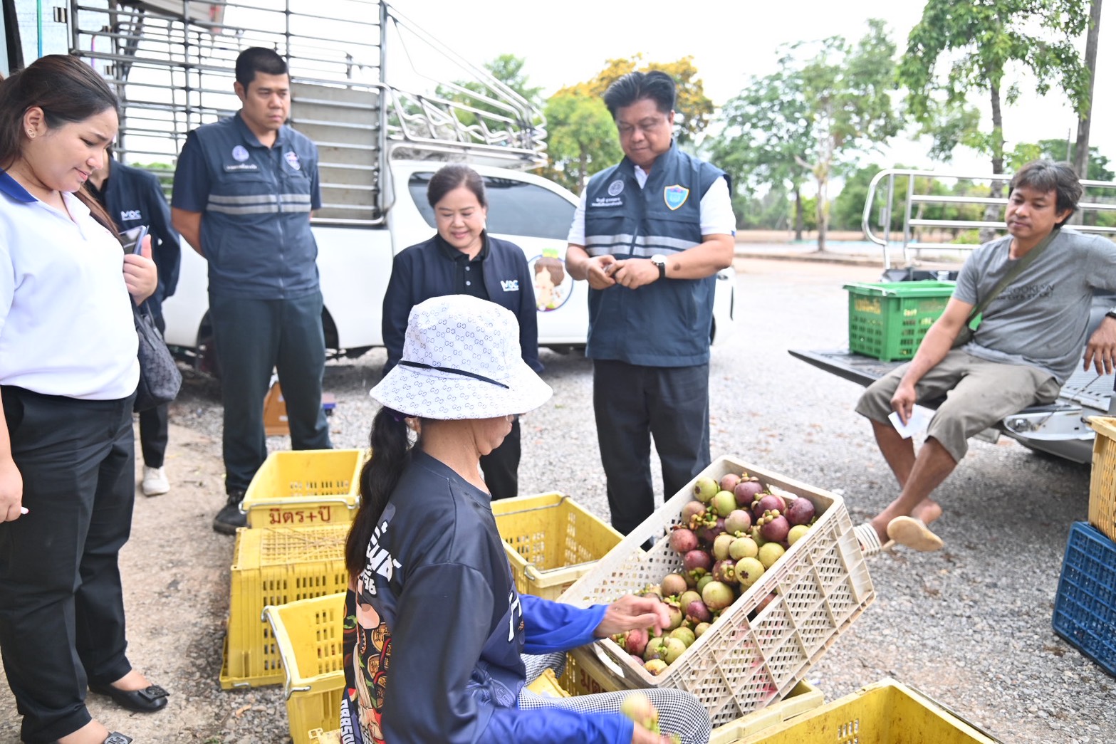 DIT ตรวจสอบการซื้อขายมังคุดภาคตะวันออก พร้อมร่วมประชุมขับเคลื่อนมาตรการบริหารผลไม้  ปี 2569 