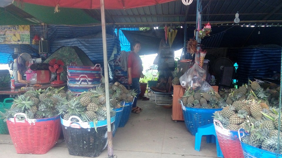21974_สินค้า สับปะรด.jpg