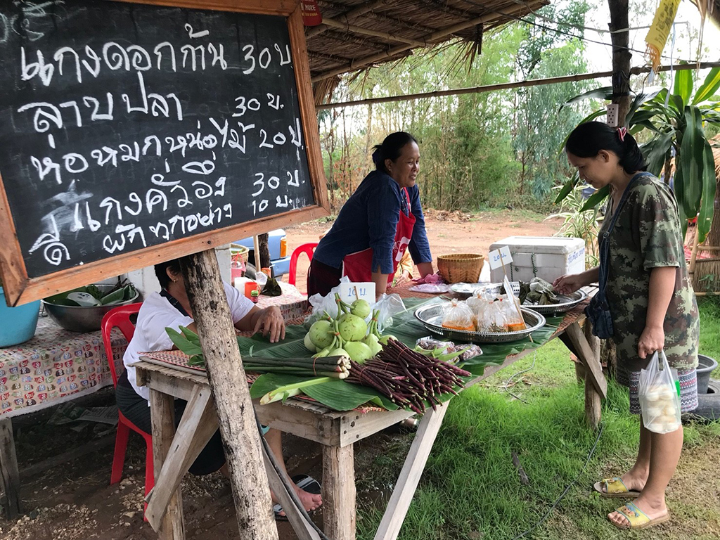 67521_แผงค้าอาหาร.jpg
